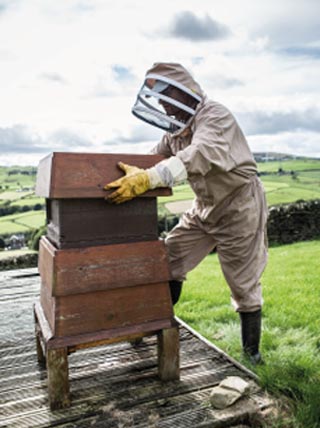 Beekeeping in Yorkshire